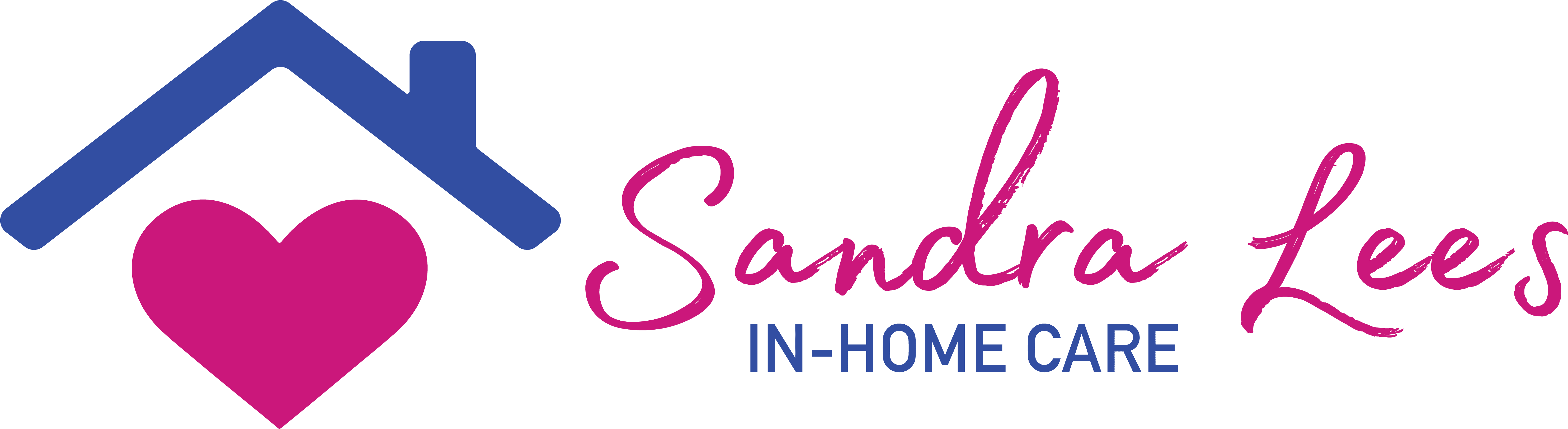 Home caregiver assisting elderly person with daily activities.